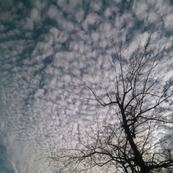 Fotografía titulada "January Clouds 2" por Glenn Durrance, Obra de arte original