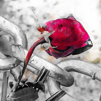 Digitale Kunst mit dem Titel "La Rosa" von Gloria Jubero, Original-Kunstwerk, Digitale Fotografie