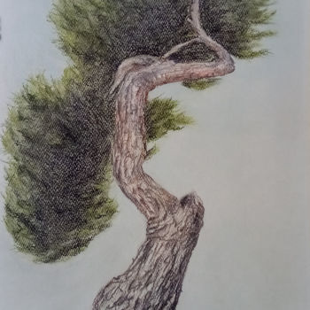 Drawing titled "Δέντρο, γλυπτό" by Georgia Melanitou (G.M.), Original Artwork, Charcoal