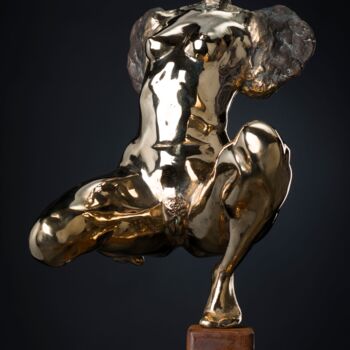 Scultura intitolato "La Nascita di un An…" da Godfried Dols, Opera d'arte originale, Bronzo