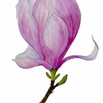 Peinture intitulée ""Magnoly"" par Valeriia Kempi, Œuvre d'art originale, Aquarelle