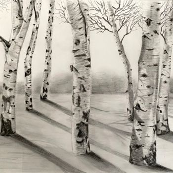 Drawing titled "Silver birches" by Annie Chapdelaine, Original Artwork, Pencil