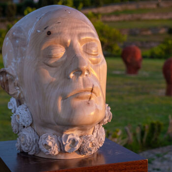 Sculpture intitulée "onairda" par Gonçalo Martins, Œuvre d'art originale, Bois