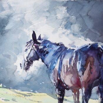 Malerei mit dem Titel "Horse steam 5" von Goran Žigolić (watercolors), Original-Kunstwerk, Aquarell