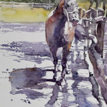 Pittura intitolato "Horse in the shadow" da Goran Žigolić (watercolors), Opera d'arte originale, Acquarello