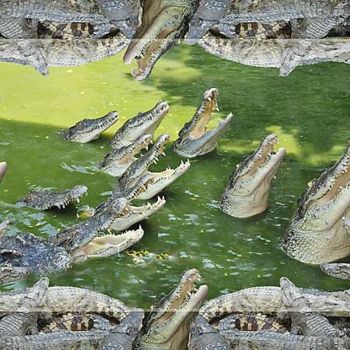Digital Arts titled "Крокодилы." by Goshanik, Original Artwork