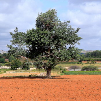 Fotografía titulada "A few miles from Ba…" por Goutam Chakraborty, Obra de arte original