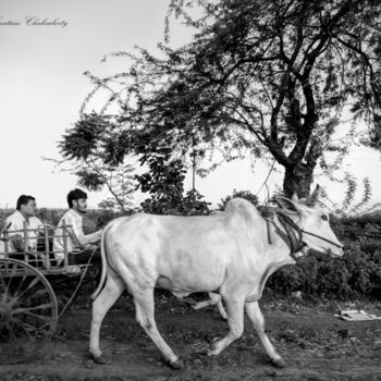 Photography titled "Other side of India!" by Goutam Chakraborty, Original Artwork