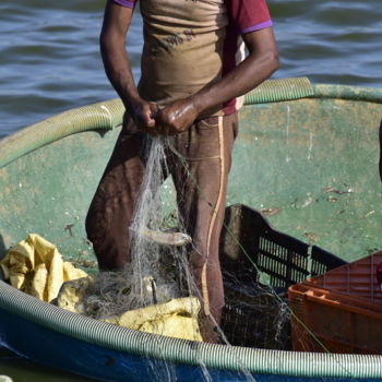 Photography titled "Days Catch!" by Goutam Chakraborty, Original Artwork, Digital Photography