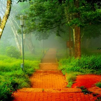 Photography titled "The Path" by Goutam Chakraborty, Original Artwork