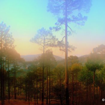 Photography titled "Ranikhet-Himalayan…" by Goutam Chakraborty, Original Artwork