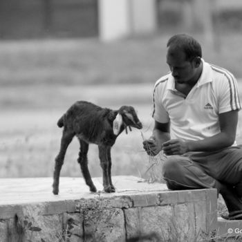 Photography titled "The Shepherd!" by Goutam Chakraborty, Original Artwork