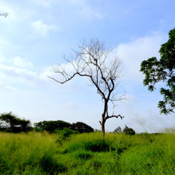 Photographie intitulée "Disparity!" par Goutam Chakraborty, Œuvre d'art originale