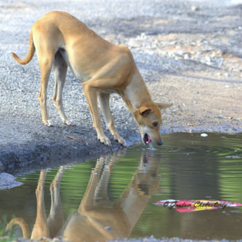 Photography titled "City Life!" by Goutam Chakraborty, Original Artwork