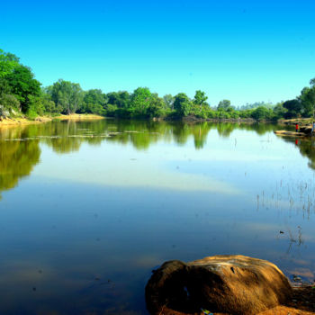 Photography titled "Backyards of Bangal…" by Goutam Chakraborty, Original Artwork