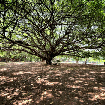 Fotografía titulada "Portrait of a beaut…" por Goutam Chakraborty, Obra de arte original