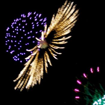 Photography titled "Fireworks"SpaceCap"" by George Query, Original Artwork