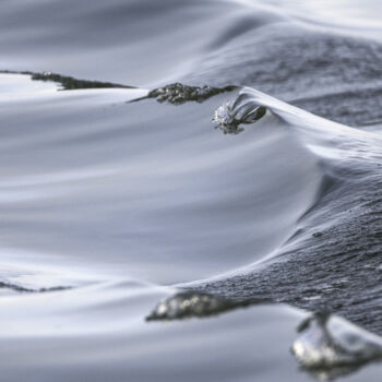 Photographie intitulée "Elégante vague" par Graal, Œuvre d'art originale, Photographie numérique