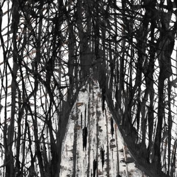 Картина под названием "The Secret Path" - Graciete Matos, Подлинное произведение искусства, Чернила
