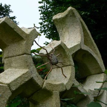 Escultura titulada "ARAIGNÉE DANS SA TO…" por Venner Fanch, Obra de arte original, Piedra