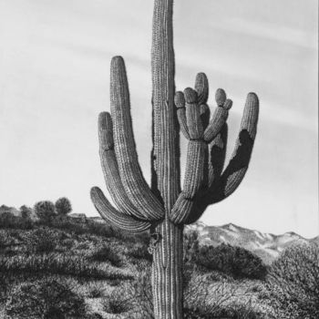 Drawing titled "Giant Sguaro Cactus" by John Bowman, Original Artwork, Other