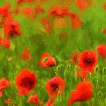 Фотография под названием "poppyflower-ii.jpg" - Tamme Maurer, Подлинное произведение искусства