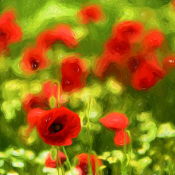 Photography titled "poppyflower-vi.jpg" by Tamme Maurer, Original Artwork