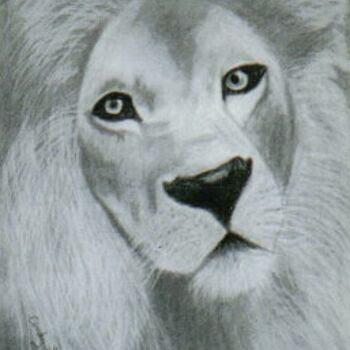 Lion #1