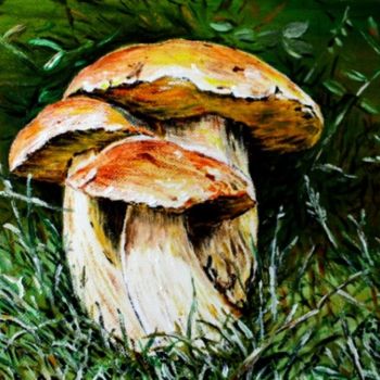 Pintura titulada "Funghi" por Grazia Calabrò, Obra de arte original, Oleo