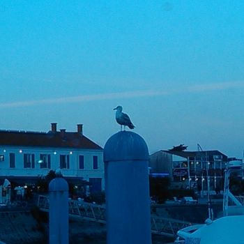 Fotografia zatytułowany „LA COTINIERE...” autorstwa Grazianna G..., Oryginalna praca