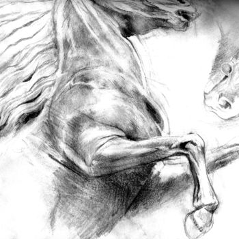 Dessin intitulée "cheval 41" par Grégory Geng, Œuvre d'art originale, Crayon