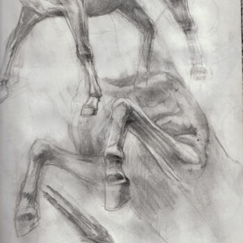 Drawing titled "etude cheval" by Grégory Geng, Original Artwork, Pencil