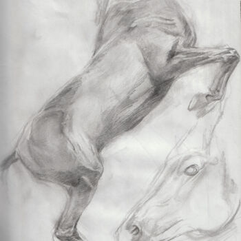 Dessin intitulée "étude cheval1" par Grégory Geng, Œuvre d'art originale, Crayon