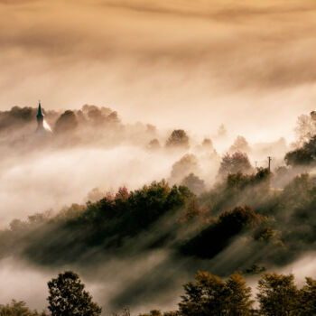 摄影 标题为“The Morning Ray” 由Grigore Roibu, 原创艺术品, 数码摄影