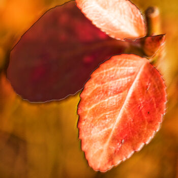 Fotografia intitulada "Riverfront Red Leaf…" por Citellus, Obras de arte originais, Fotografia digital