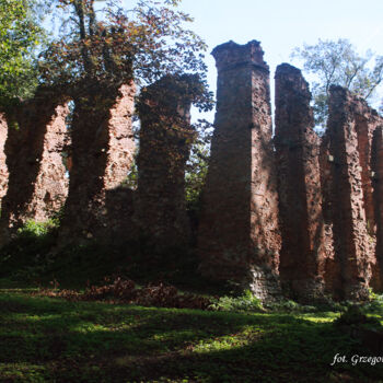 Fotografia zatytułowany „ruiny zamku w Małop…” autorstwa Grzegorz Pawlonka, Oryginalna praca, Fotografia cyfrowa