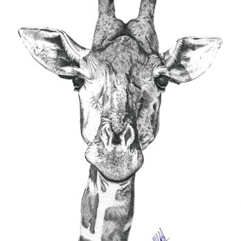 Zeichnungen mit dem Titel "Girafa Minimalista" von Guilherme Almeida, Original-Kunstwerk, Tinte