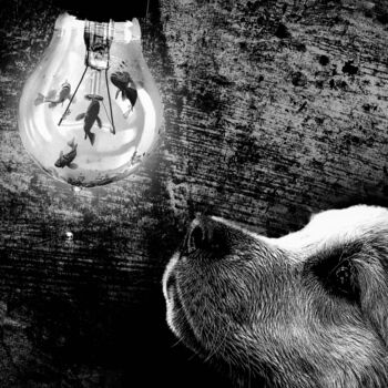 Digital Arts titled "Dog and the Light" by Guillaume Bellebault, Original Artwork, Photo Montage