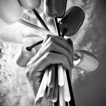 Photography titled "Flowers Jeff Koons" by Guy Link, Original Artwork, Digital Photography