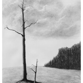 Drawing titled "Dry season" by Guy Mijten, Original Artwork, Charcoal