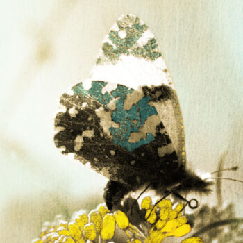Photography titled "Hello Spring" by Gwenaëlle Le Mée, Original Artwork, Manipulated Photography