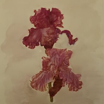 Malarstwo zatytułowany „Iris plume” autorstwa Gwendolyn Jaafar, Oryginalna praca, Akwarela