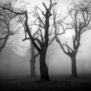 Photographie intitulée "Comme des plongeurs" par Gwenola De Muralt, Œuvre d'art originale, Photographie numérique