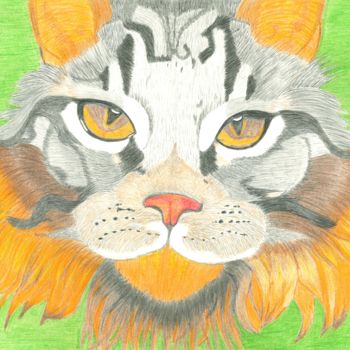 Desenho intitulada "Le chat-lion" por Gwenolee Mahe, Obras de arte originais, Lápis