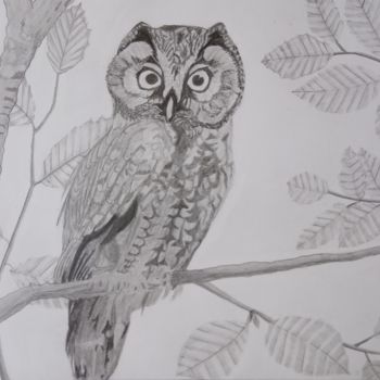 Drawing titled "Hibou paisible." by Gwenolee Mahe, Original Artwork, Pencil