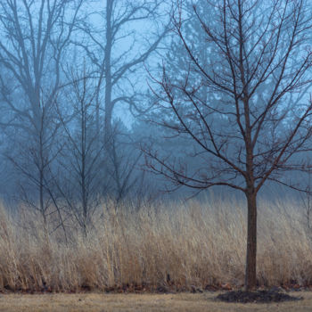 Fotografía titulada "Blue Morning" por Gwendolyn Roth, Obra de arte original, Fotografía digital