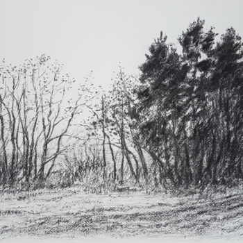 Drawing titled "Dessin paysage arbr…" by György Acs, Original Artwork, Charcoal