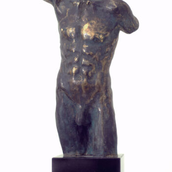 Скульптура под названием "Torso" - Gyunay Aliev, Подлинное произведение искусства, Бронза