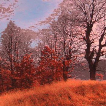 Fotografia intitulada "Есенно настроение" por Ivan Hadjidimitrov, Obras de arte originais