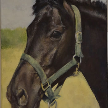 Peinture intitulée "alogo(horse)" par Olga Kadnikova, Œuvre d'art originale, Huile